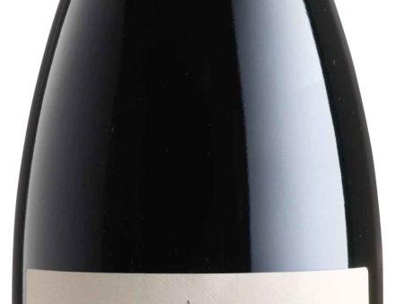 Zeni Amarone della Valpolicella Classico 2018 For Cheap