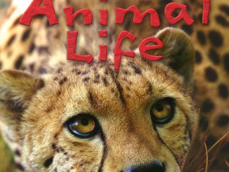 100 Facts: Animal Life For Sale