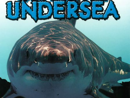 2C:Ultimate Undersea Online now